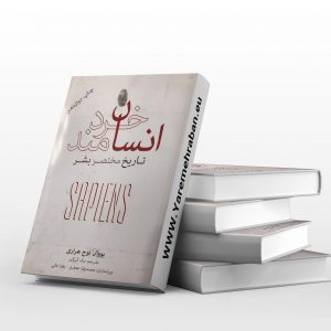 انسان خردمند، تاریخ مختصر بشر