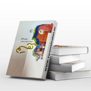 تقسیم