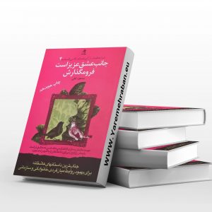 جانب عشق عزیز است فرومگذارش