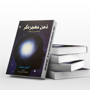 ذهن معجزه گر