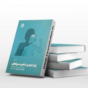 رام کردن کردن ذهن سرکش