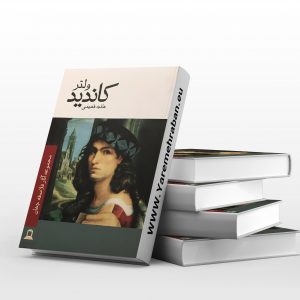 کاندید