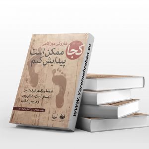 کجا ممکن است پیدایش کنم