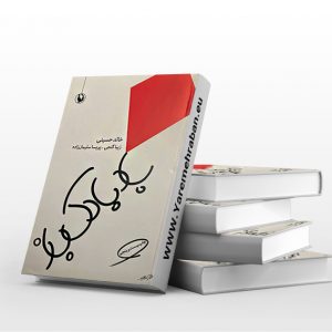 بادبادک باز جلد سخت