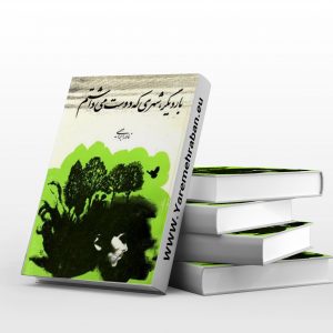 بار دیگر شهری که دوست داشتم
