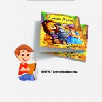 جادوگر شهر از