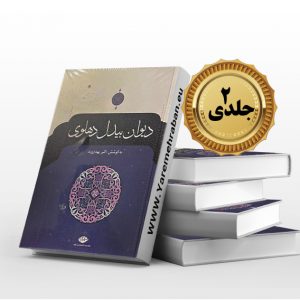 دیوان بیدل دهلوی دو جلدی