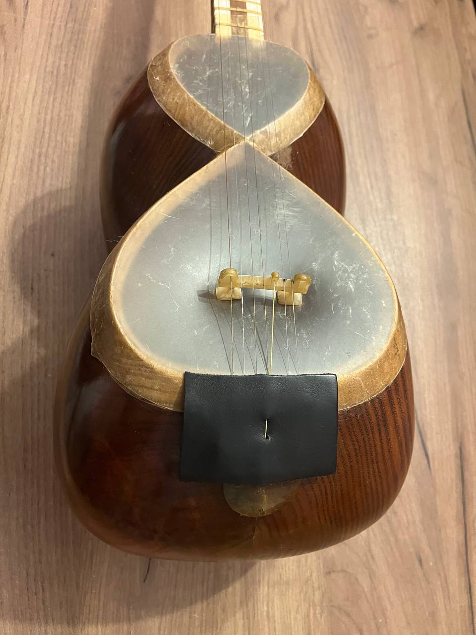 خرید ساز تار در اروپا